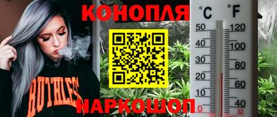 ПСИЛОЦИБИНОВЫЕ ГРИБЫ Нальчик