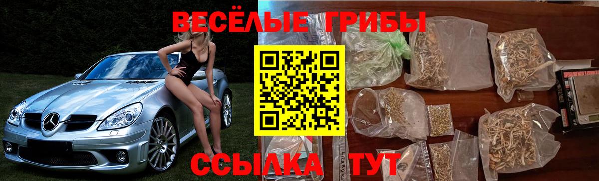 Старая Купавна  Псилоцибиновые грибы Psilocybine cubensis  Вход с VPN 